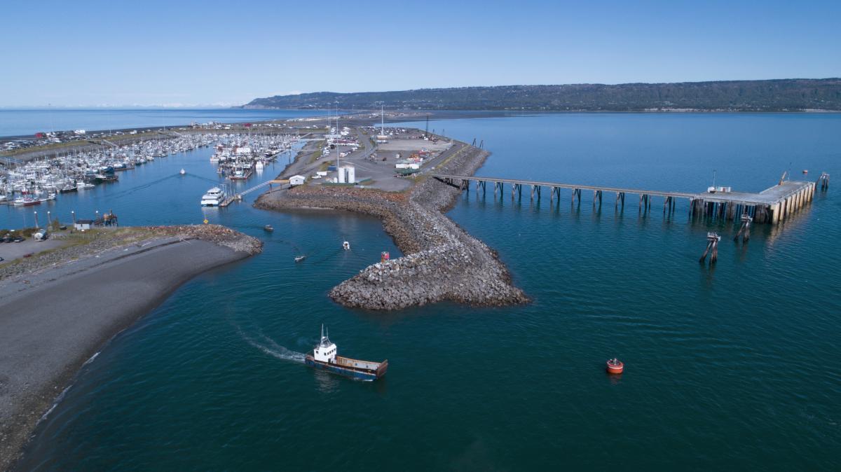Homer Port & Harbor aerial view