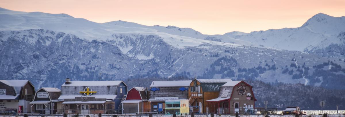 Police City Of Homer Alaska Official Website