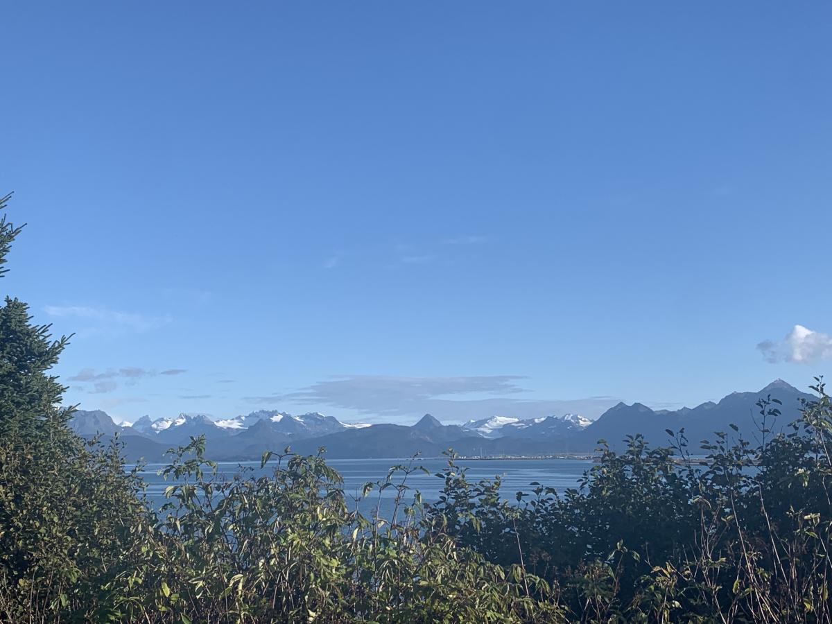 photo of grewing glacier