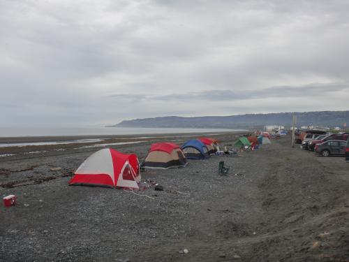 West Side Camp Area | City of Homer 