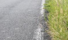 Asphalt road with a white edge line and grasses growing in the right of way